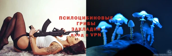 шишки Армянск
