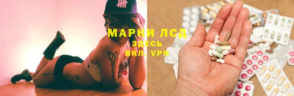 шишки Армянск