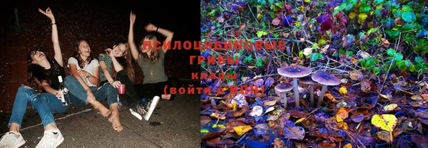 шишки Армянск