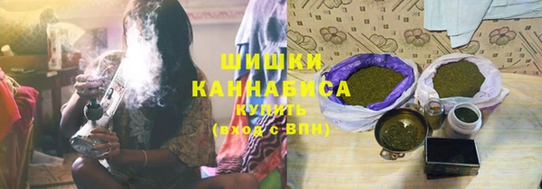 шишки Армянск
